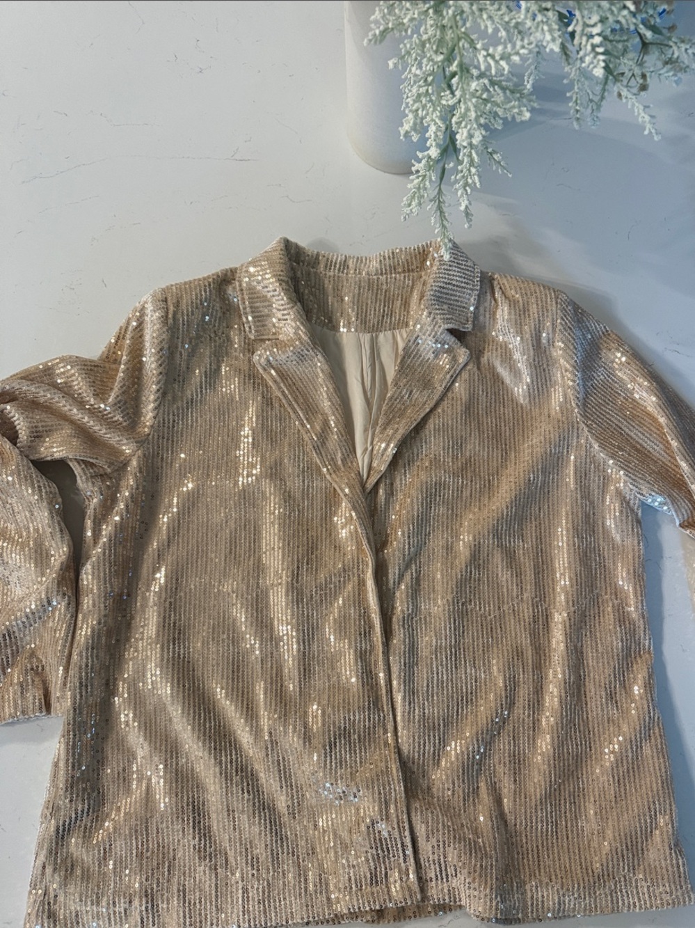 Sequin Blazer Jacket in Champagne - Women's